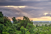 Daintree Rainforest